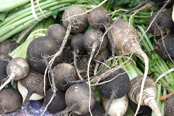 الفجل الأسود