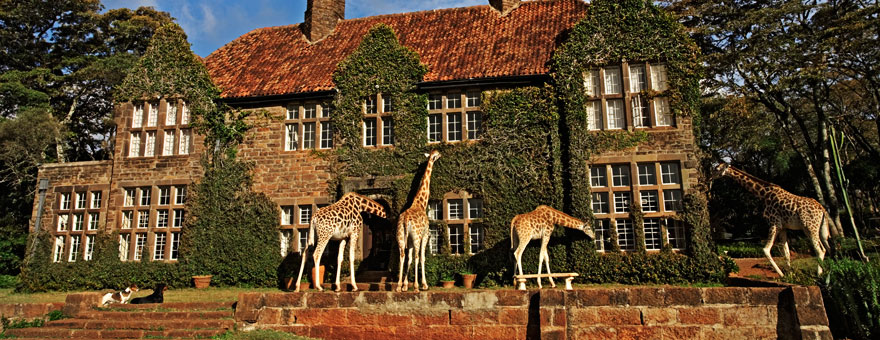 Giraffe Manor in Kenya 1