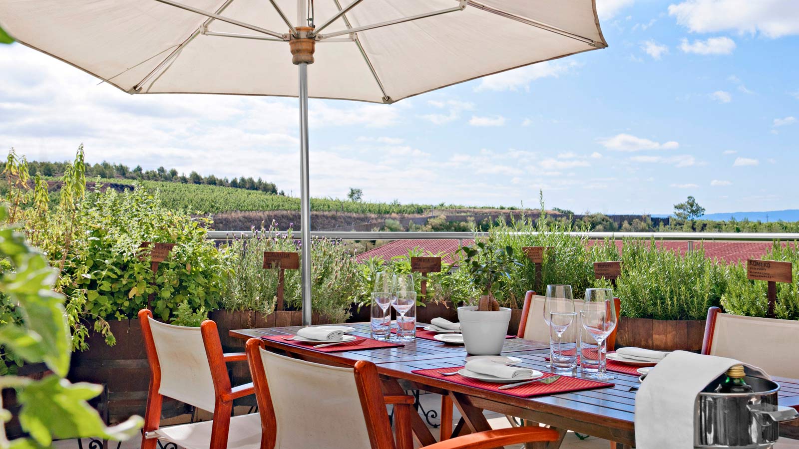 hotel marques de riscal beautifull view