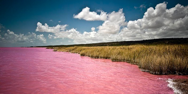 Lake Hillier 2