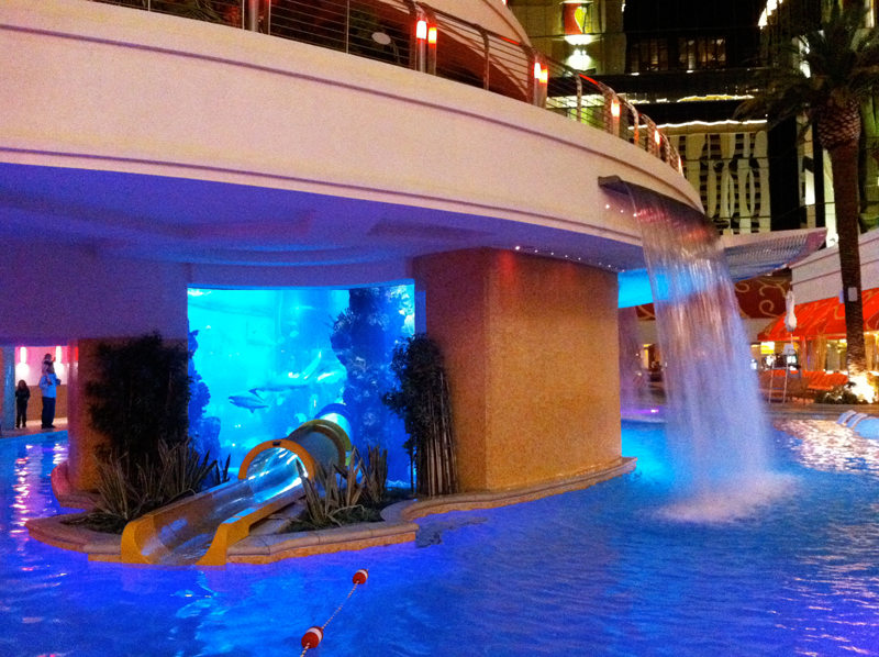 golden nugget las vegas pool 1