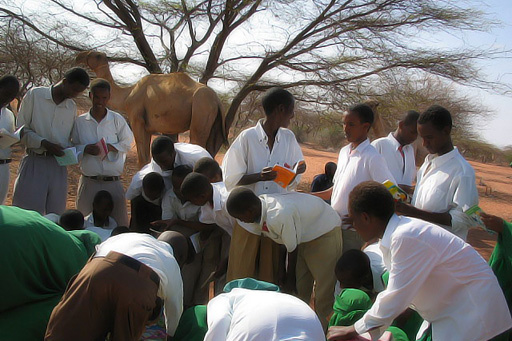 strange Libraries 15