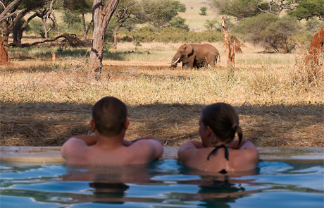 Sanctuary Retreats, Tanzania 1