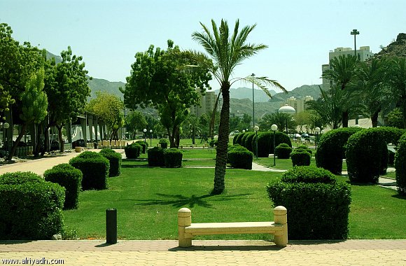 إحدى حدائق الرياض