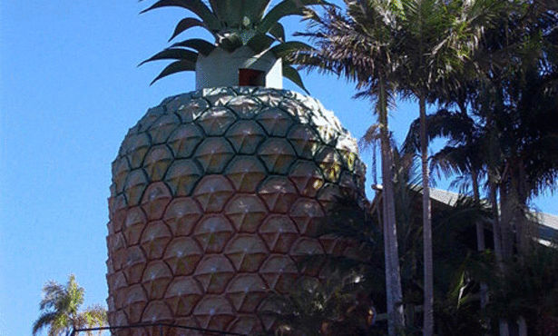 مبنى على شكل أناناس