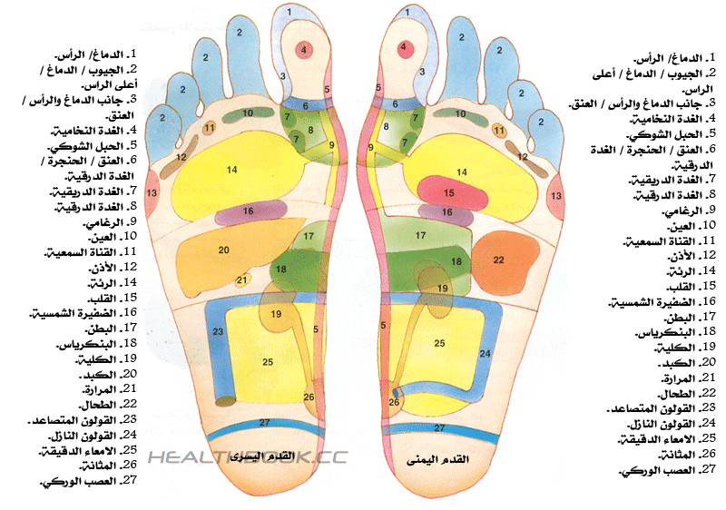 "النقاط الانعكاسية" في القدمين "النقاط الانعكاسية" في القدمين