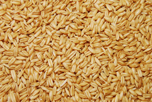 حبوب الشوفان