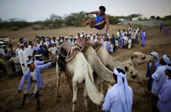 القفز على الجمال في اليمن القفز على الجمال في اليمن