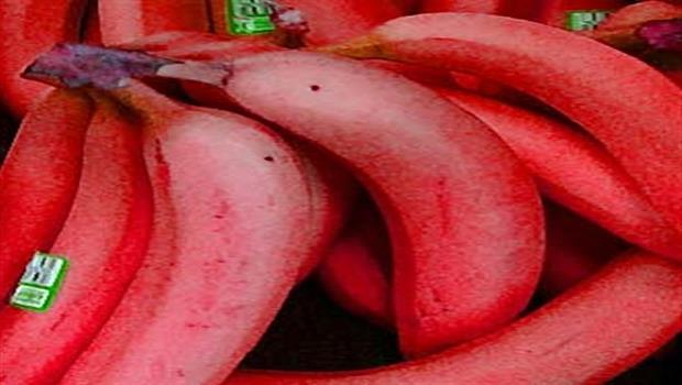 الموز الأحمر 2