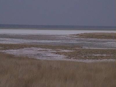 سراب الصحراء سراب الصحراء