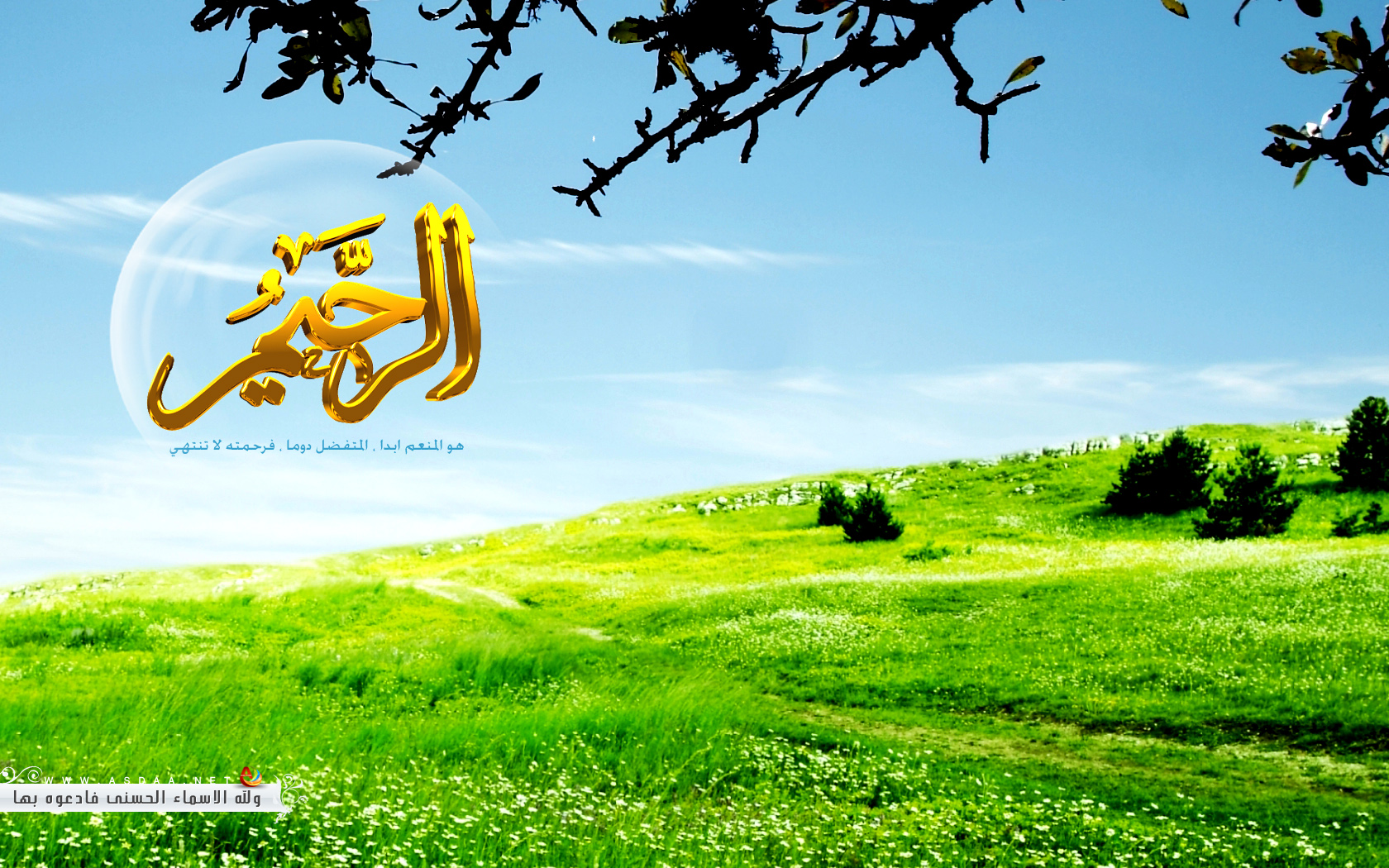 الرحيم من الأسماء الواردة في القرآن الرحيم من الأسماء الواردة في القرآن