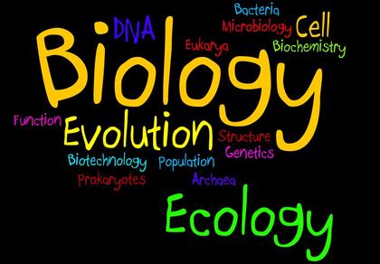 Biology Biology